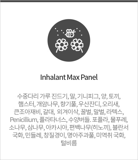 알레르기 종류