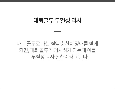 대퇴골두 무혈성 괴사